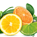 Air Wick Citrus Fragrances