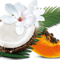 Airwick_Fragrances_1.9_Tropical.png
